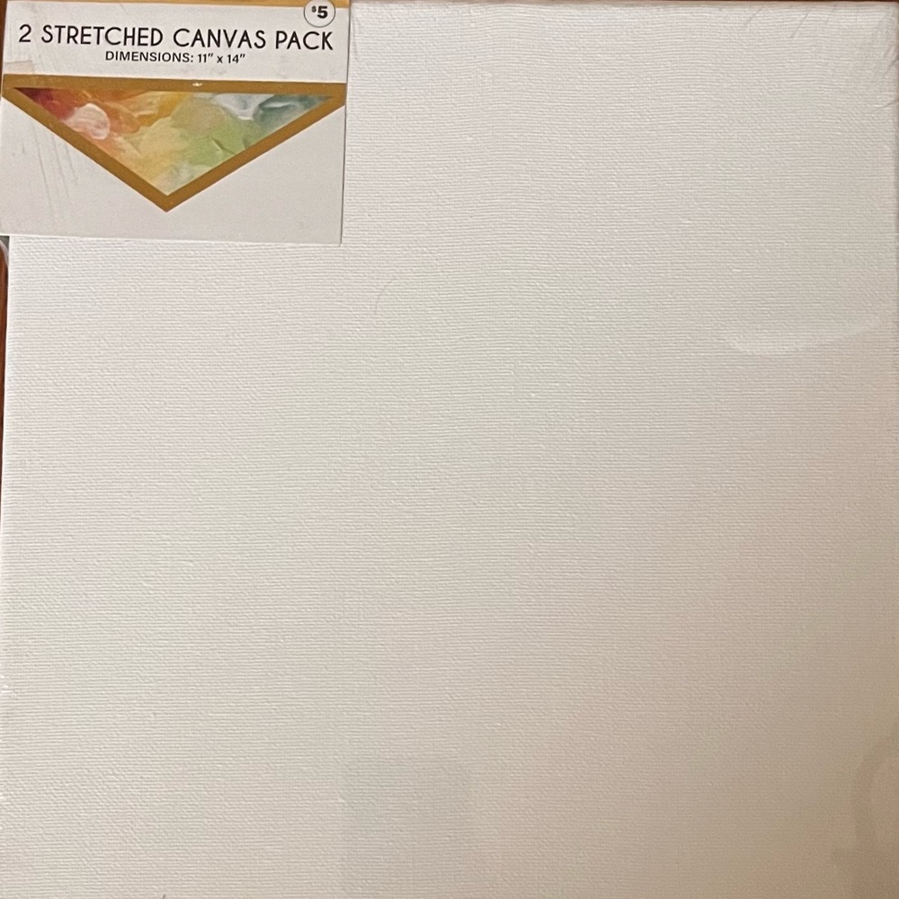 2 Stretched Canvas Pack